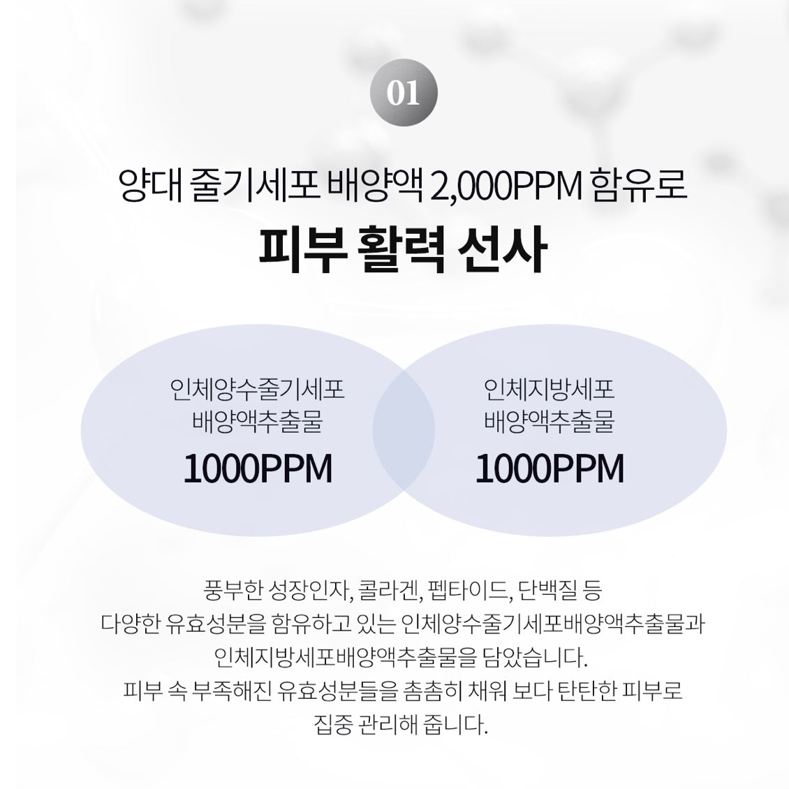 ★피부저속노화 줄기세포팩★여배우 피부과관리에 쓰이는 '그 제품'