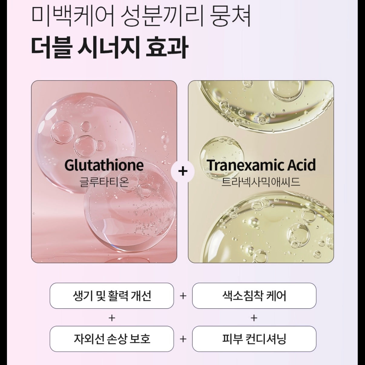 ★백옥부스터급 물광 + 미백효과★엑소좀 줄기세포 앰플+톤업크림 공구시작!