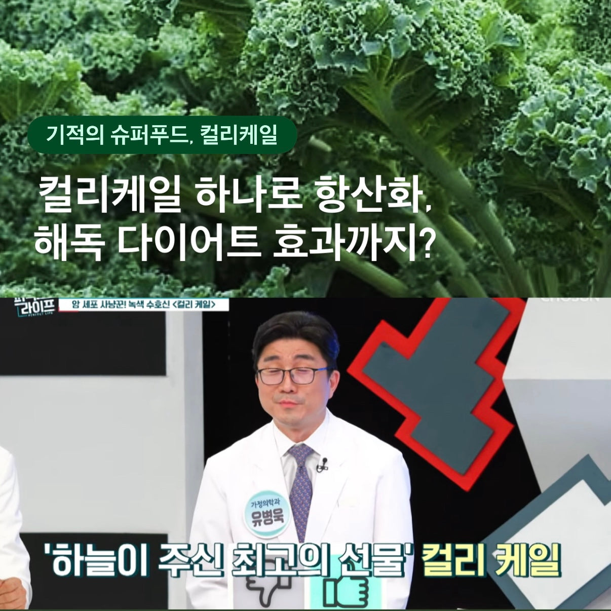 ★1일 1포 바디리셋부스터★장 붓기 리셋템 컬리케일공구시작! #클린바디루틴