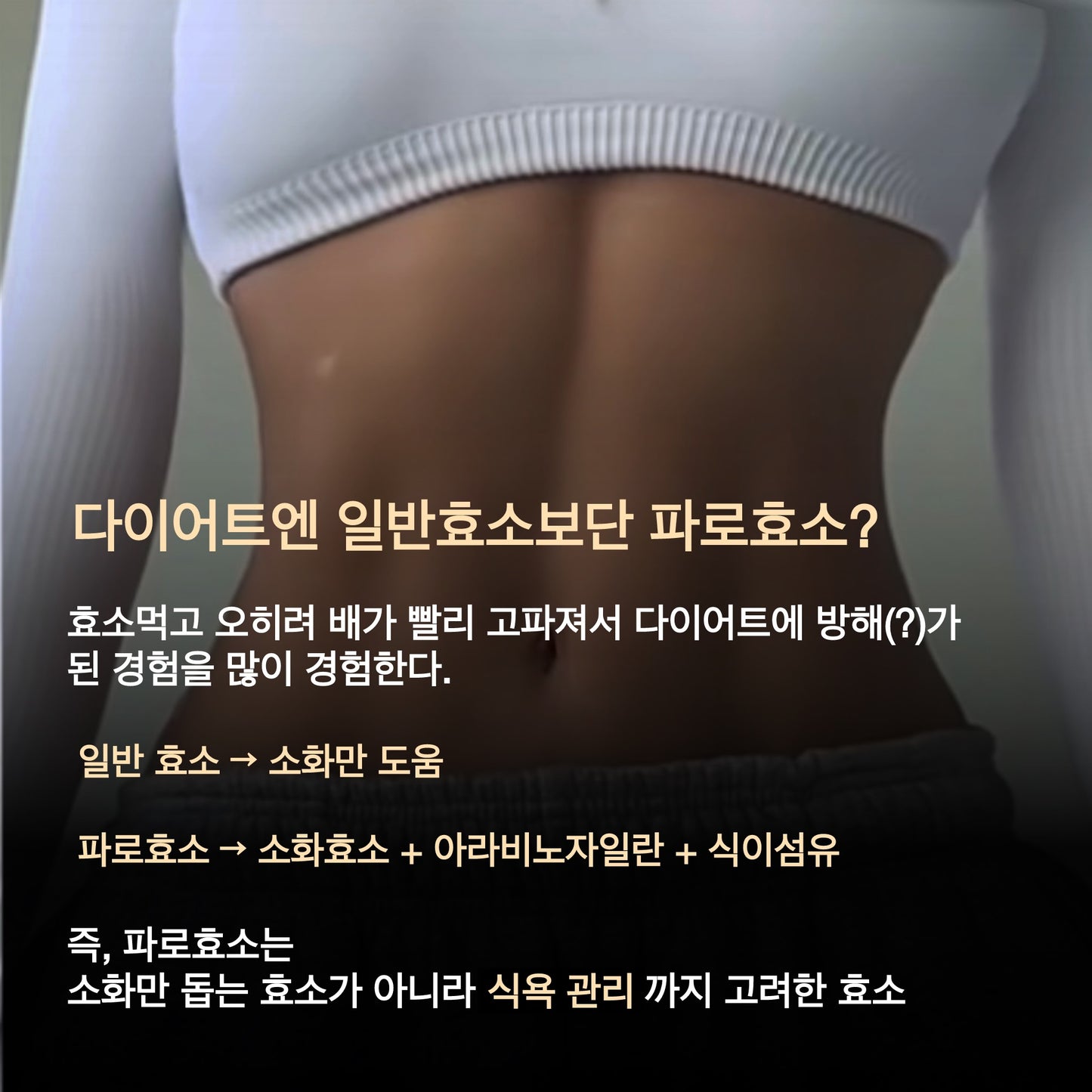 ★한정수량30%★호주공구 #급찐급빠 실패없는 건강한 다이어트 패키지 공구시작!